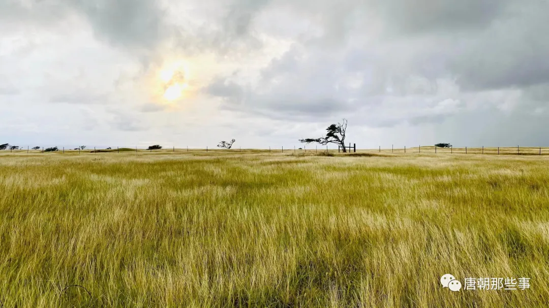 夏威夷大岛,美国最南边的风景