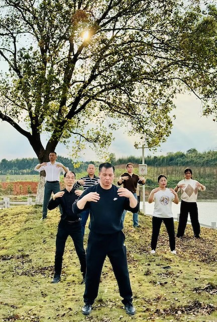 多人站桩,由内而外的刚劲